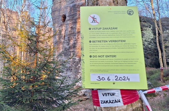 Labské pískovce – uzavírka lezeckých oblastí