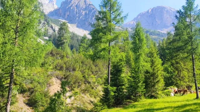 1-ramsau-nastup Nástup od Ramsau